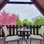 Sakura House * سيل