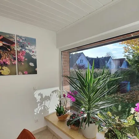 Sakura House *