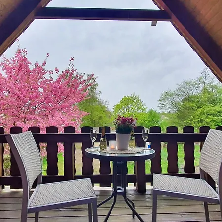 Sakura House * Celle